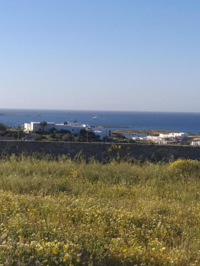 Ninemia Mjf Villa