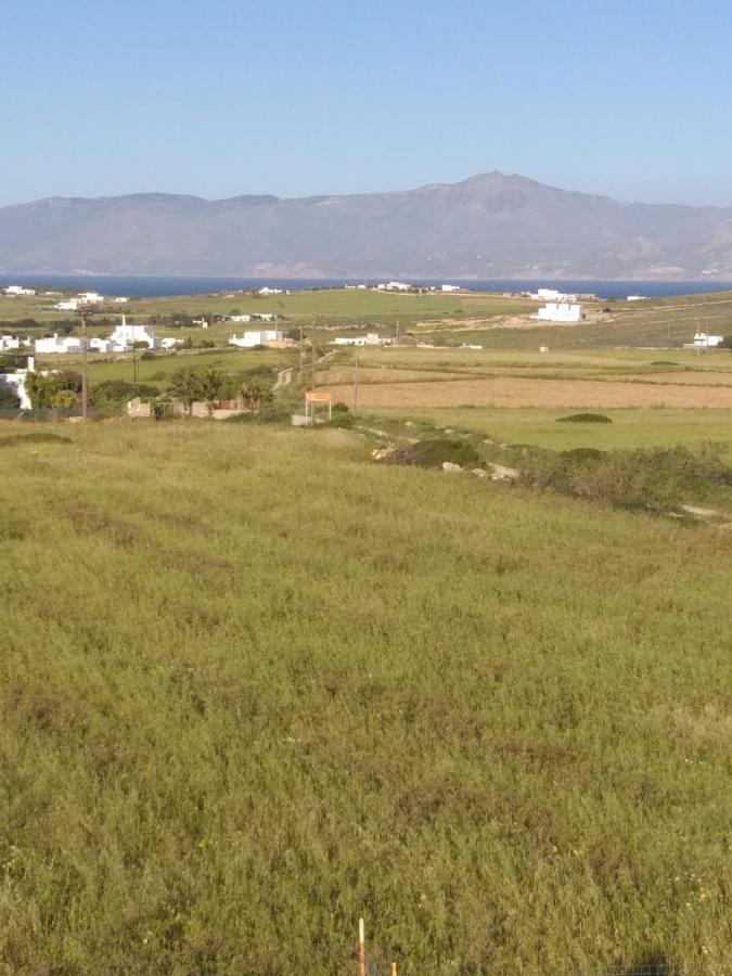 Ninemia Mjf Villa